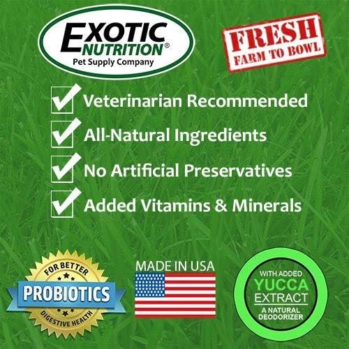 Exotic Nutrition Pasture Plus+ Adult Rabbit Food (10 lb.) - Nutritionally Complete Healthy Natural Pellet Diet - for Adult Rabbits 12 Months & Older