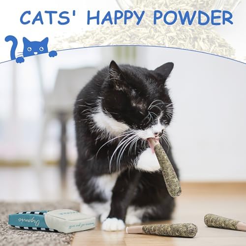 Nocciola 3 Pack Catnip Toys for Cats, Funny Cat Toys Filled with 100% Pure Organic Catnip, Safe Kitten Teething Chew and Kicker Toys, Stress Relieving Fun for Indoor Cats, Blue - Image 5