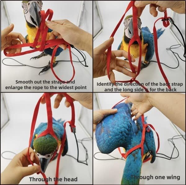 Adjustable Bird Harness with 78.7 Inch Leash, Outdoor Flying Training Rope Kit for Bird Parrots, Parrot Flying Rope Straps Outdoor Training Traction Rope for Small Medium Large Size Birds (XL)