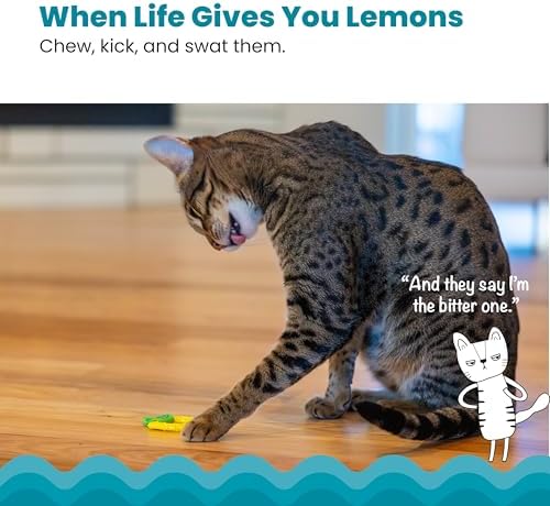 Catstages Dental Lemon Teether Interactive Chew Cat Toy with Catnip, 2.4" - Image 2