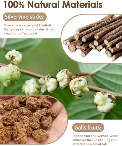 Tocirelo Silvervine Sticks with Feathers for Indoor Cats, Kitten Chew Toys - Image 2