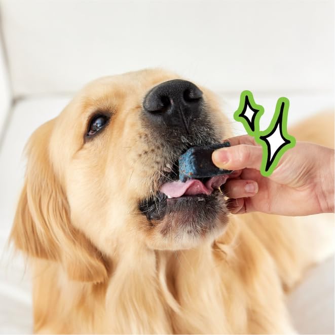 Spot & Tango PupGum Dog Dental Chews for Fresh Breath & Clean Teeth – Clinically Proven Ingredients – Human-Grade, Vet-Developed Daily Dental Treats for Dogs 41+lbs – 7 Chews – Made in USA