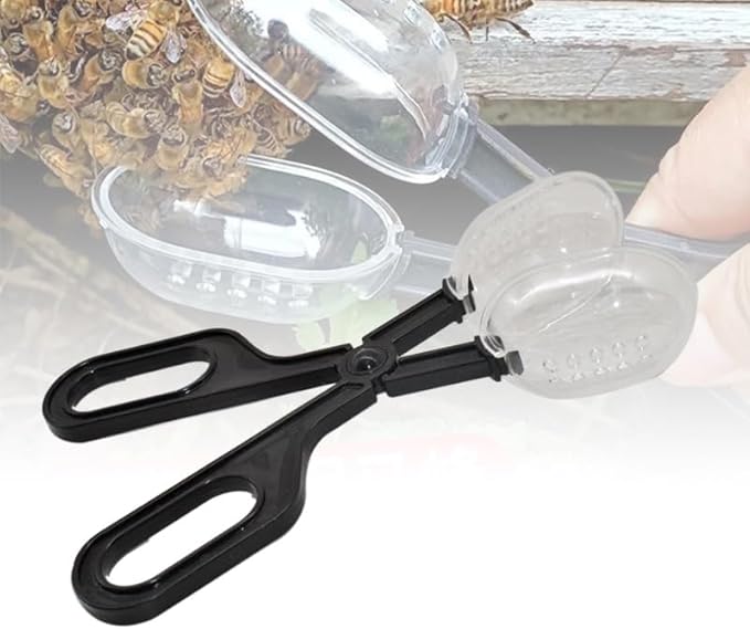 Reptile Feeding Tool, Reptile Poop Scoop Reptile Feeding and Cleaning Tool,Plastic Reptile Feeding Clamp for Tortoise Lizard Frog Spider and Other Small Animals, Terrarium Cleaning Tweezers