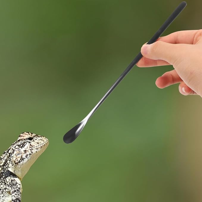 balacoo 3pcs Reptile Food Spoon Handle Feeding Tool for Lizards and Small for Easy Use and Portability for Tortoise and Gecko Care
