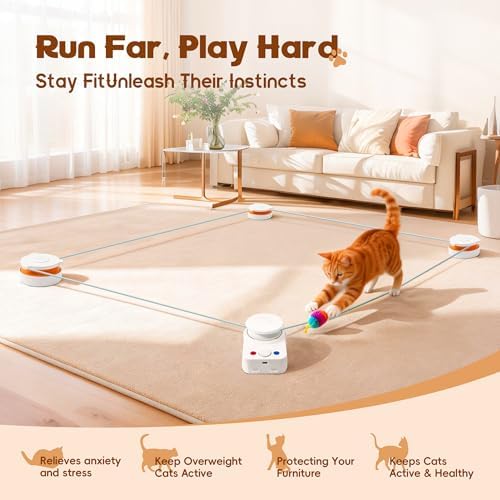 Interactive Cat Toy for Indoor Cat,Automatic Treadmill for Exercise - Image 2