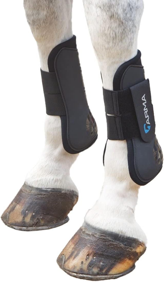 Shires ARMA Tendon Boot