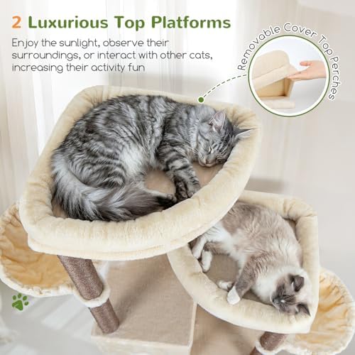 Globlazer Cat Tree Tower for Indoor Cats, Sturdy Adult Cat Tree House for Large Adult Cats with 2 Platform, 6 Cat Scratching Post, 2 Cat Caves, Dangling Toys, S63, 63 inch, Beige - Image 2