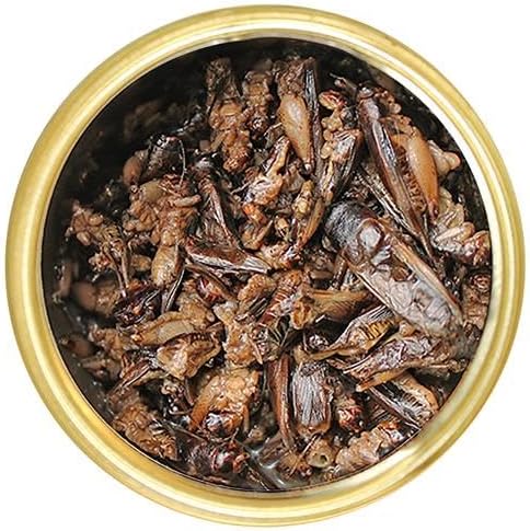 Canned Crickets 1.2 (6 Pack) - Healthy High Protein Insect Treat - Hedgehogs, Sugar Gliders, Reptiles, Wild Birds, Chickens, Lizards, Bearded Dragons, Skunks, Opossums, Fish, Amphibians, Turtles