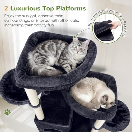 Globlazer Cat Tree Tower for Indoor Cats, Sturdy Adult Cat Tree House for Large Adult Cats with 2 Platform, 6 Cat Scratching Post, 2 Cat Caves, Dangling Toys, S63, 63 inch, Dark Grey - Image 2