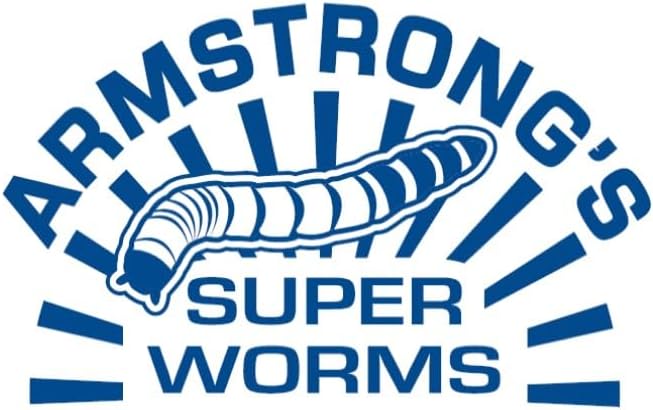 Armstrong's Original Crickets Superworms (Zophobas morio) Kingworms (Large 1.75"+) (Medium 1.25-1.74") (1000, Medium)