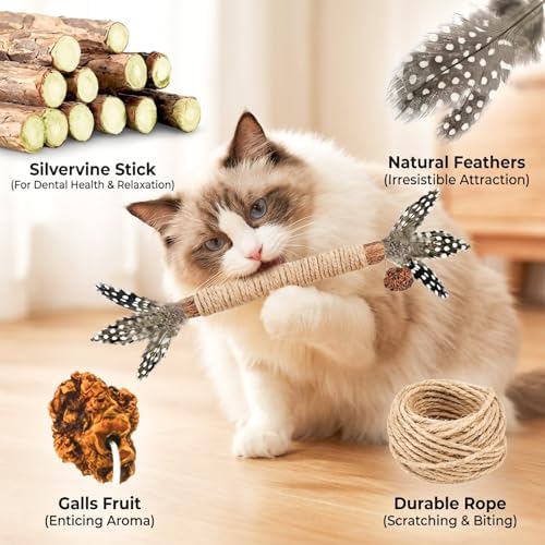 Cat Chew Toys Silvervine Sticks Dental Treat Feather 7Pack Indoor - Image 3