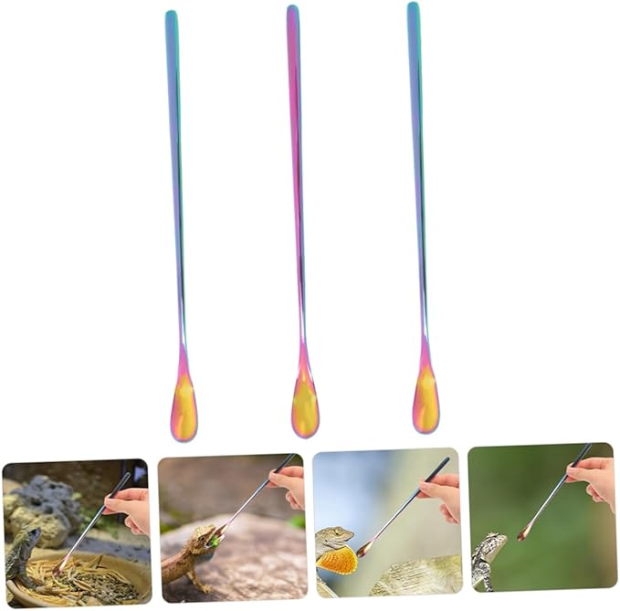 BESPORTBLE 3pcs Reptile Food Spoon Long Handle Small Pet Food Scoop for Tortoise Iguana