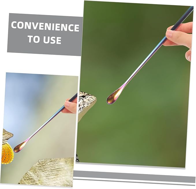 BESPORTBLE 3pcs Reptile Food Spoon Long Handle Small Pet Food Scoop for Tortoise Iguana