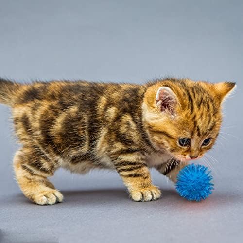 PET SHOW 20 Pack Cat Toys Sparkle Ball 1.77inch for Indoor Cats Kitten - Image 6