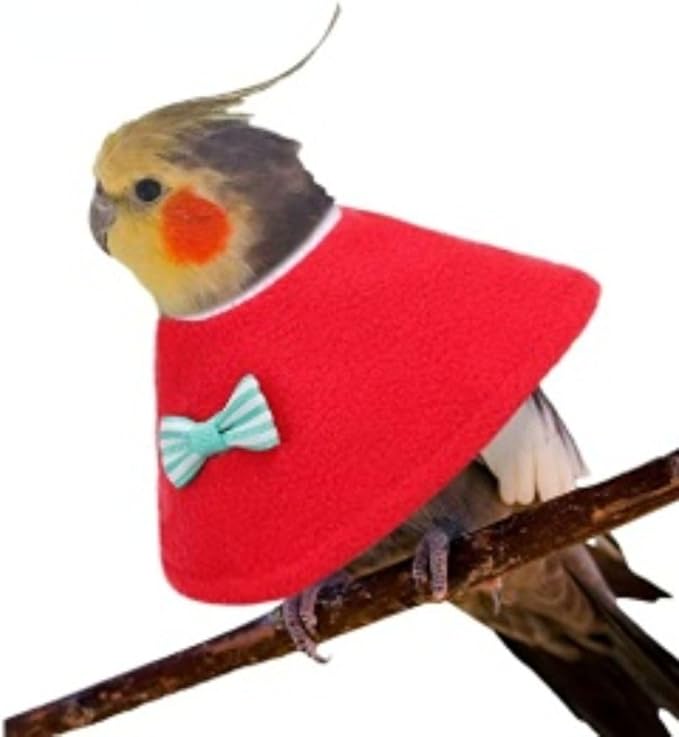 4 Pcs Bird Cone Collar Pet Anti-bite Elizabethan Collar Parrot Recovery Protective Cones for Budgerigar Cockatiel Lovebirds Cockatoo Parrots African Grey Macaw (XL)