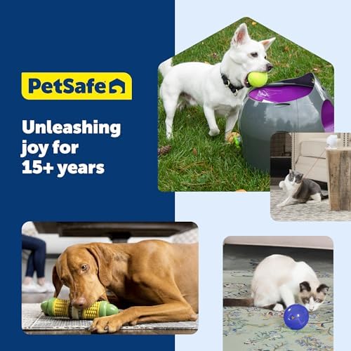 PetSafe Slimcat Feeder Ball Cat Toy, Orange - Image 7