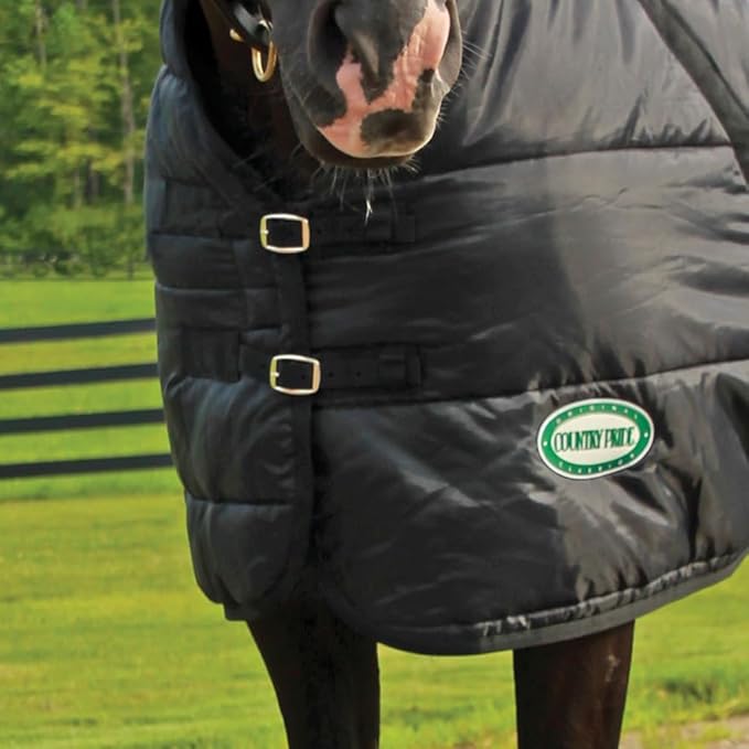 Country Pride Sentinel Channel Quilt Horse Stable Blanket, Midweight Open Front, 420D Nylon Outer Shell, 250g Poly-Fill Insulation, Wither Protection, Adjustable Leg Straps, Bias Surcingle (54,Black)