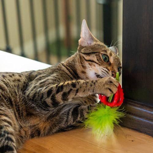 Catstages Dental Strawberry Teether Cat Chew Toy with Catnip, 4" - Image 6
