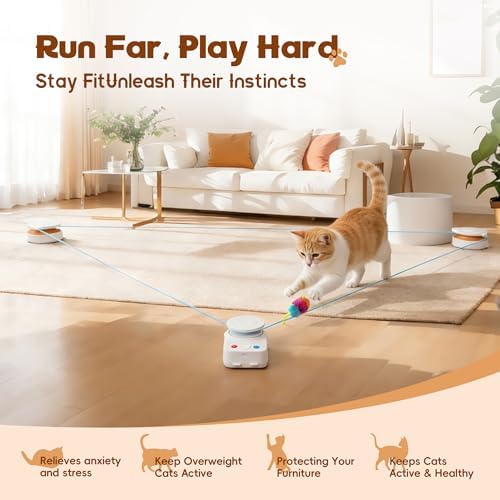 Interactive Cat Toy for Indoor Cat,Automatic Treadmill for Exercise - Image 2