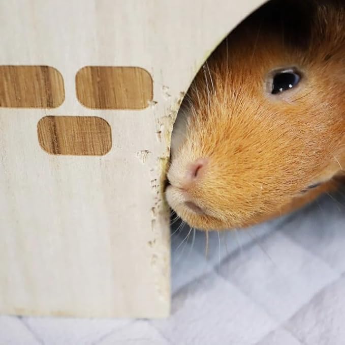 GuineaDad Guinea Pig Hideout & House – Wooden Hideaway Bed, Hut & Furniture for Small Pets | Cozy Guinea Pig Hidey with Natural Design & Accessorie