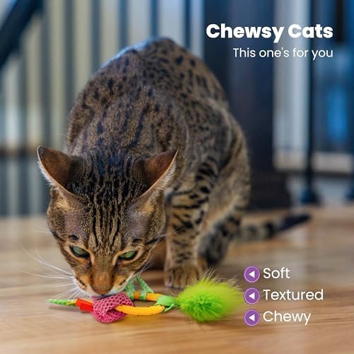 Catstages Dental Pineapple Teether ?€? Chew Toy for Cats and Kittens ?€? Textured Fabric and Mesh ?€? Coated in Catnip Oil ?€? Supports Teething Relief - Image 3