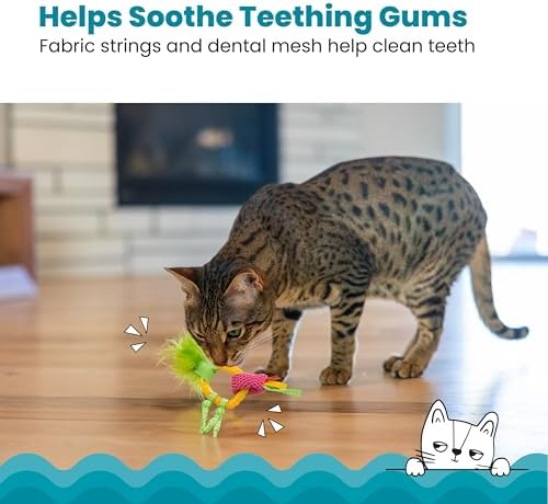 Catstages Dental Pineapple Teether ?€? Chew Toy for Cats and Kittens ?€? Textured Fabric and Mesh ?€? Coated in Catnip Oil ?€? Supports Teething Relief - Image 2