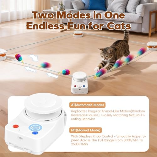 Interactive Cat Toy for Indoor Cat,Automatic Treadmill for Exercise - Image 5