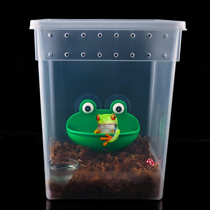10 Pack Reptile Feeding Box Plastic Transparent Breeding Box for Bearded Dragon Lizard Spider Snake Tree Frog Reptlies (2 Pcs Large Size and 8 Pcs Small Size)