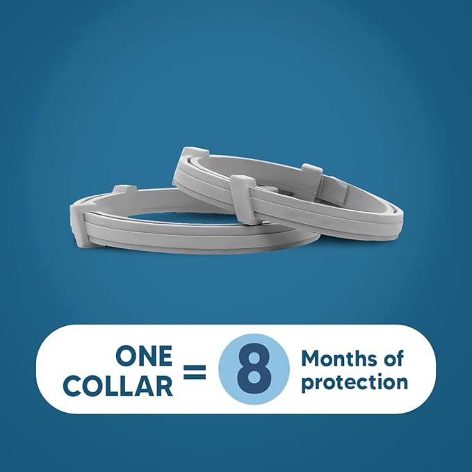 Flea Collar for Small Dogs, Flea and Tick Collar for Puppy, Small Dog Flea Collar Under 18 lbs, 8 Months Protection-2P
