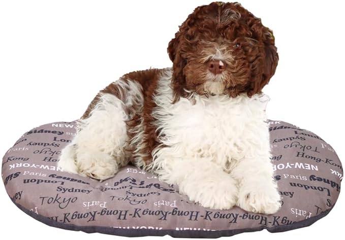 Ferplast Dog Bed Medium Dog Cushion Washable Pet Mattress in Cotton with Soft Padding, 78 x 50 m. Brown