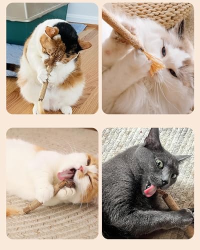 Tocirelo Silvervine Sticks with Feathers for Indoor Cats, Kitten Chew Toys - Image 6