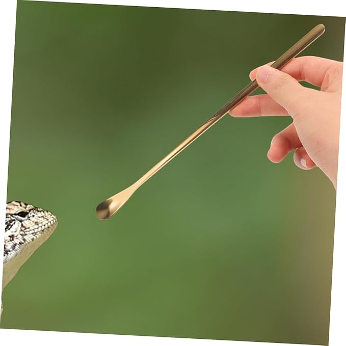 Reusable Reptile Spoon Pet Food Scoop Lizard Food Feeding Tool Stainless Steel Reptile Feeding Spoons Set