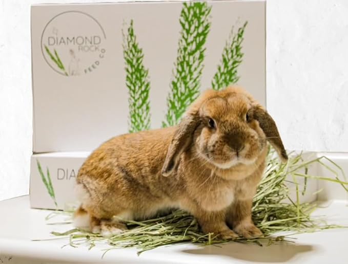 Timothy Hay 1st Cutting Hay, Ideal for Rabbits, Guinea Pigs, Chinchillas and Hamsters, High Fiber Content - 5 pounds