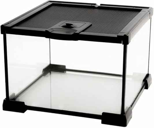 AWXZOM Mini Reptile Glass Terrarium Tank, cage for Tarantula Sling Geckos, Frog, Lizards, Chameleons,Turtles Snake Snail Insect Hermit Crab Isopods Reptiles Enclosure (7.9x7.9x5.7inch)
