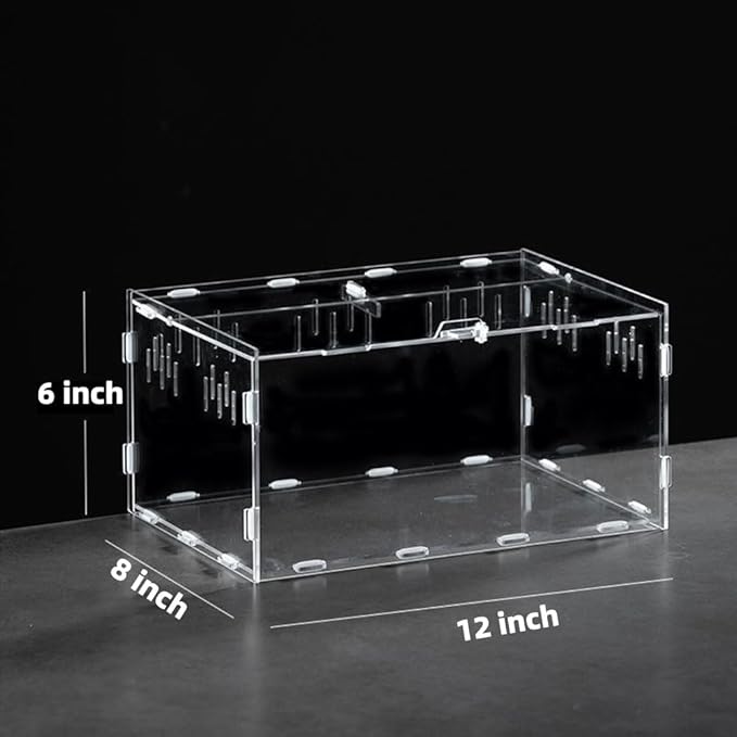 Jumping Spider Terrarium, Reptile Tank Habitat with Locking Acrylic Feeding Box for Tarantula, Isopod, Gecko, Snake (12x8x6)