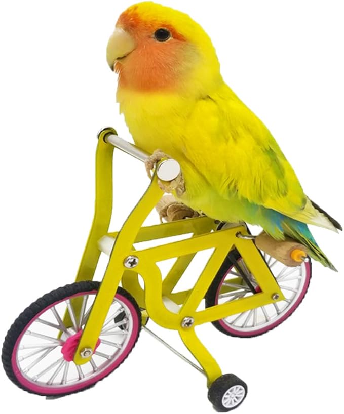 QBLEEV Bird Intelligence Training Toy - Parrot Puzzle Bicycle for Small & Medium Birds - Educational Table Top Trick Prop & Foot Talon Toy for African Grey, Cockatoo & Conures
