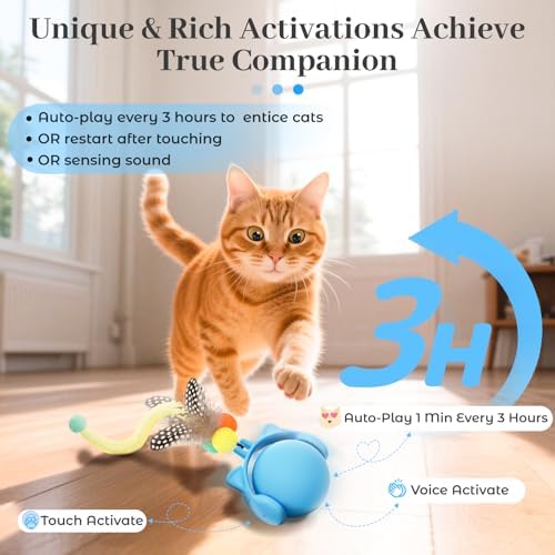 ORSDA Cat Toys for Indoor Cats, New Intelligent Voice Timing Touch Control Cats Ball, Simulate Mouse Sound Kitten Toy, Automatic Interactive Moving Cat Toy for All Ages - Image 2