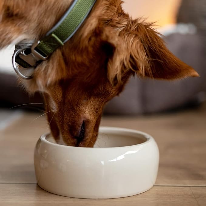 Nobby Ceramic Feeding Trough 125 ml