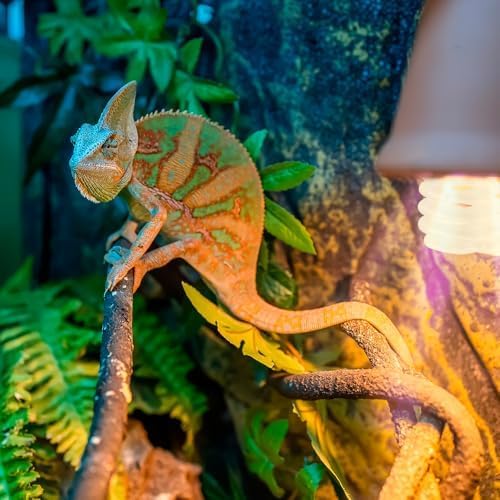 Exo Terra Repti Glo 5.0 Tropical Terrarium Lamp, Compact Fluorescent Reptile Bulb, 13 Watts, PT2186A1, whites & tans