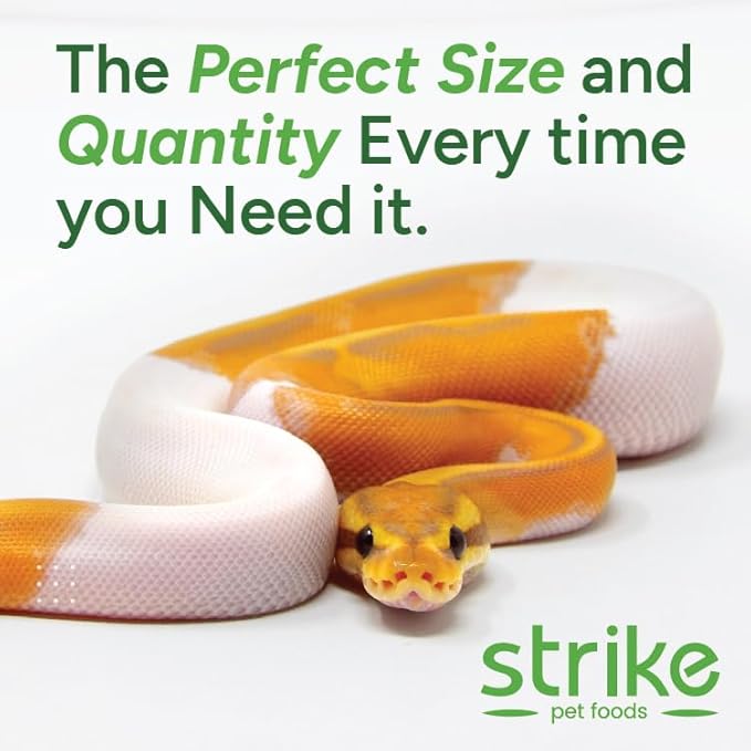 STRIKE Medium Frozen Mice for Snake Food, Ideal Size Feeder Mice for Juvenile Ball Pythons, Large Carnivorous Lizards, Adult King Snakes and Rosy Boas (14-18 Grams) (2.25-3 inches), 10 Count