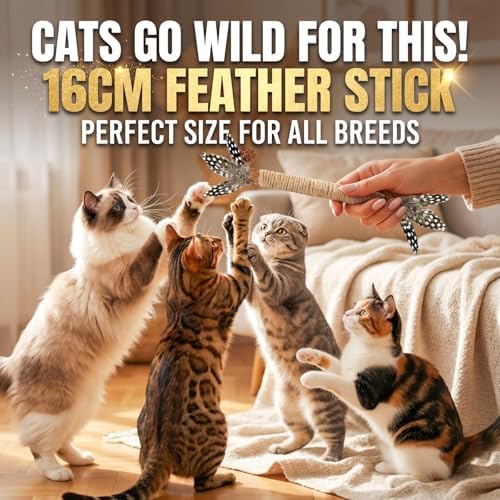 Cat Chew Toys Silvervine Sticks Dental Treat Feather 12Pack Indoor - Image 6