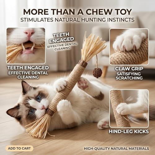 3 Pack Silvervine Cat Chew Sticks - Natural Kitten Toy for Cats - Image 2