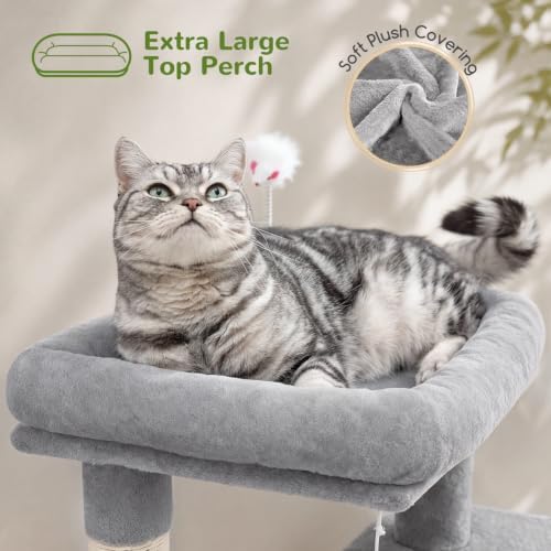 Globlazer Cat Tree Tower for Indoor Cats, 50-inch Adult Cat Tree House for Large Adult Cats with Steps, Scratching Post, 2 Cat Caves, Dangling Toys, FC50, Light Grey - Image 3