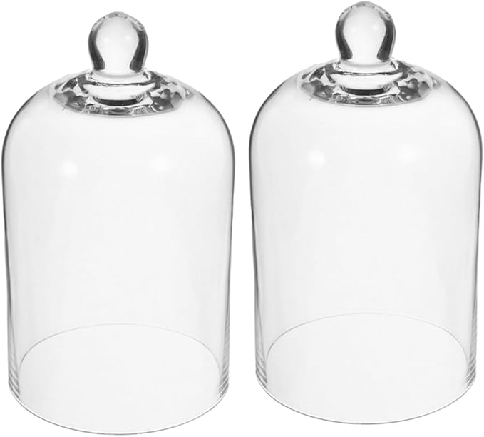 2Pcs Transparent Glass Cloche Cover for Dried Flowers Crafts Design High Visibility for Preserved Flower Display and DIY Terrariums