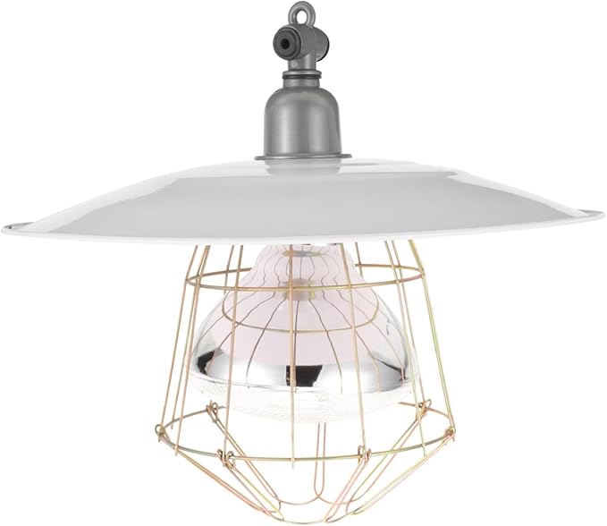 BESPORTBLE Outdoor Heat Lamp for Pets and Chickens Livestock Thermostat Lamp Iron and Glass Material Easy to Install and Remove Wide Application Safe for Animals