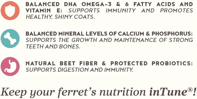 Higgins Intune Ferret Food & Treat Bundle Intune Ferret Diet 4lbs & Intune Duets Ferret Treats (Chicken Meal/Salmon) 3.04oz.