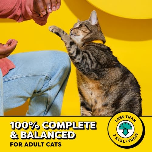 Temptations Classic Crunchy and Soft Cat Treats, Tasty Chicken, 3 oz, 12pk - Image 3