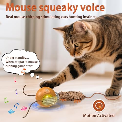 Oxawo Cat Toys Interactive Self Rolling Cat Balls Mouse - Image 6