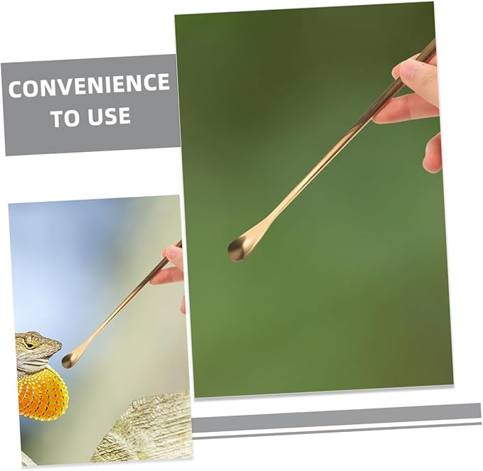 Reusable Reptile Spoon Pet Food Scoop Lizard Food Feeding Tool Stainless Steel Reptile Feeding Spoons Set