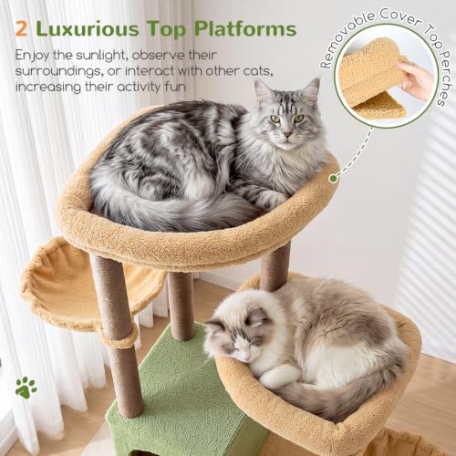 Globlazer Cat Tree Tower for Indoor Cats, Sturdy Adult Cat Tree House for Large Adult Cats with 2 Platform, 6 Cat Scratching Post, 2 Cat Caves, Dangling Toys, S63, 63 inch, Green - Image 2